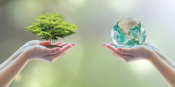 environment-tree-world